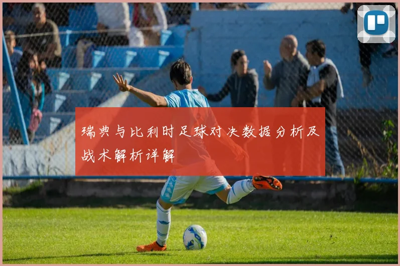 瑞典与比利时足球对决数据分析及战术解析详解